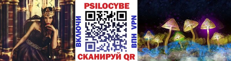 Галлюциногенные грибы GOLDEN TEACHER  продажа наркотиков  Гвардейск 